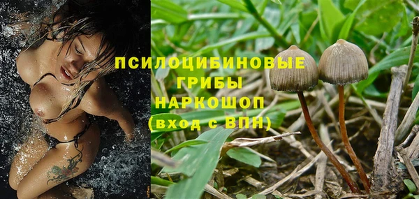 мет Алексеевка