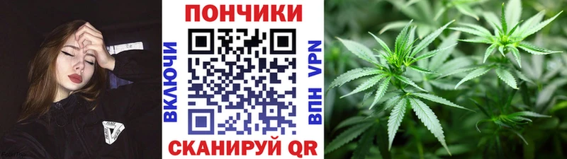 сколько стоит  KRAKEN зеркало  Каннабис OG Kush  Пугачёв 